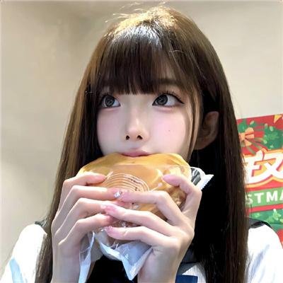 盗贼生涯